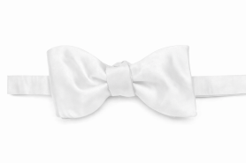bowtie 2